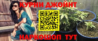 дмт Гусев