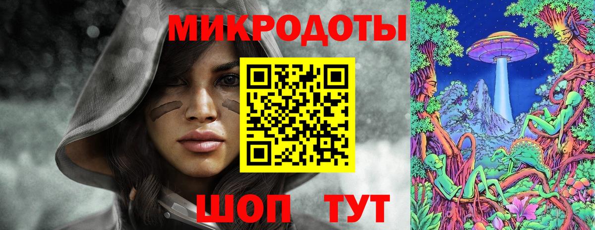Галлюциногенные грибы Psilocybe Знаменск