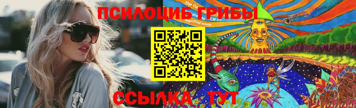 Знаменск  Галлюциногенные грибы Magic Shrooms  Вход с VPN 